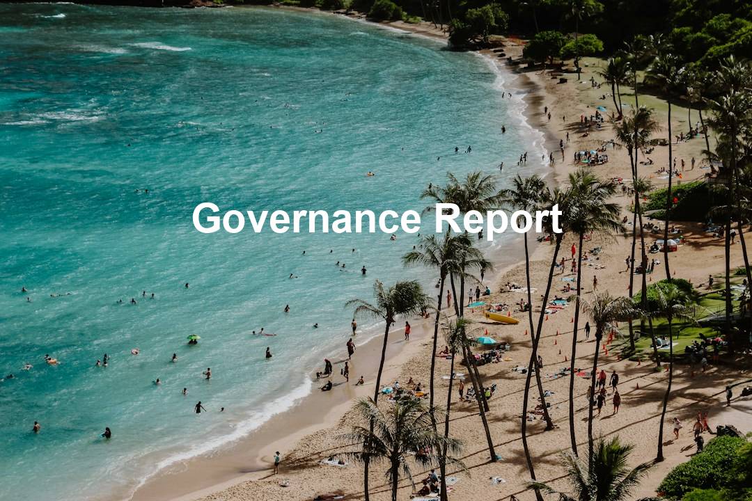 Governance Report 1